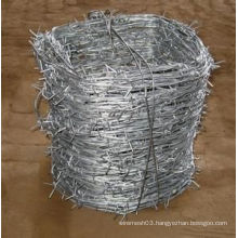 Hot Sale Hot-Dipped Galvanized Barbed Wire